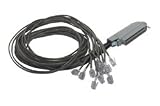 Cat. 3 Telco Breakout Cable, Male Telco / 12 (6x4), 3.0 ft
