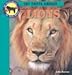 101 Facts About Lions (Barnes, Julia, 101 Facts About Predators.)