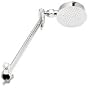 Interbath All Directional Chrome Showerhead