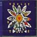 Laurent Voulzy-Voulzy Tour
