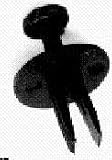Mud Skirt Rivet-Plastic (Qty: 50) Gripper Box # 2006T