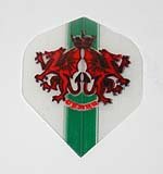 5 Sets - WELSH WALES - Hard Poly flights