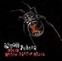 Black Widow Spider Blues