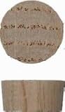 1/2 IN Oak Flat Top Plugs