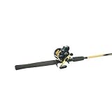 Fishing: Daiwa Sealine/Cabela's Depthmaster Rod ComboSG17LCA