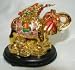 Colorful Money Frog on Elephant