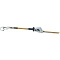 Ryobi RPT 400 Long Reach Hedge Trimmer