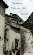 Wie ein Stein im Geröll: Roman