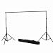 Portable Background Support Stand and Chromakey Green Muslin