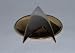 Search : Star Trek The Next Generation 1/2 Sz Communicator PIN