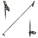 Sporting Goods : Swix Elite Ski Pole