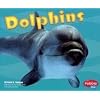 Dolphins (Under the Sea (Capstone Paperback))