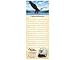 Bald Eagle Magnetic Pad
