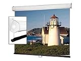 Luma 2 Manual Projection Screen Matte White 10X10IN