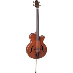 Takamine Pro Series TB10 Acoustic Electric Bass Guitar, Natural with Case