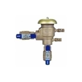 Febco 765-1" BV-Pressure Vacuum Assembly