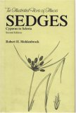 IFI: Sedges Cyperus to Scleria Second Edition (Illustrated Flora of Illinois)