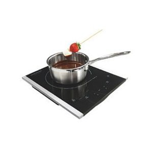 Frigidaire FGIC13 14 Portable Induction Cooktop