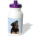 rottweiler38 - Dogs Rottweiler Rottweiler Water Bottles