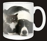 Review Advanta  / BORDER COLLIE DOG & KITTEN Coffee Mug