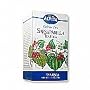 Alvita - Saw Palmetto Berries Tea Bags, 24 bag