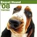 Basset Hound Wall (ARTLIST) 2008