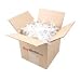 Kitchen & Housewares : Martini Plastic Olive Picks - Box of 1000