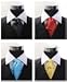 Geometric Flower Chain Silk Printed Ascot
