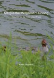 Mergus the Merganser Duckling: A journey up the River called Priest