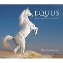 Equus 2009 Deluxe Wall Calendar