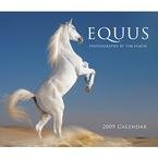 Equus 2009 Deluxe Wall Calendar