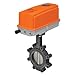 F6100HD+DRCX120-3 N4 Butterfly Valve | 4" | 2 Way | 600 Cv | w/Non-Spring | 120V | Floating | NEMA 4
