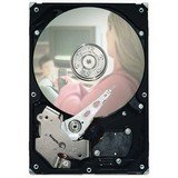 Seagate DB35 Series ST3500830ACE Hard Drive - 500GB - 7200rpm - Internal