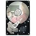 Seagate