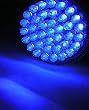 Acne 415 Blue Light Therapy 38 LED Bulb ONLY! 415nm