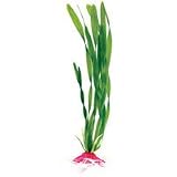 Corkscrew Val - Small - 7 in.