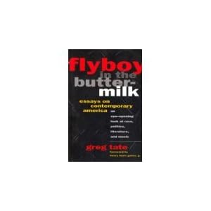 Flyboy in the Buttermilk: Essays on Contemporary America