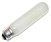 General Electric 45120 60-Watt 745-Lumen Specialty T10 Incandescent Light Bulb, Soft White