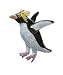 Clearly Charming Rockhopper Penguin Silver and Enamel Pin
