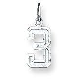 Sterling Silver Small Diamond-cut #3 Charm with 20 inch Sterling Silver Chain