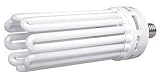 200W Compact Flourescent Bulb