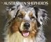 Just Australian Shepherds 2010 Wall Calendar