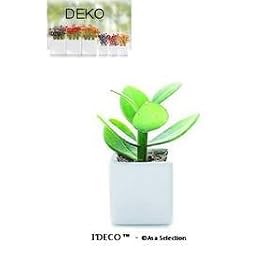 ASA - Succulente artificielle N�III - Pot mini 5x5 cm