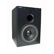 SDAT 8 inch powered sub woofer