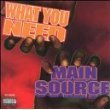 What You Need / Merrick Blvd
