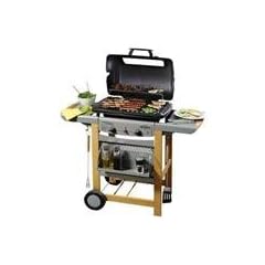 Campingaz 203885 Gasgrill Expert 2 Woody Advantage