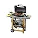 Campingaz 203885 Gasgrill Expert 2 Woody Advantage