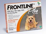 6 PACK Frontline Plus Orange: For Dogs up to 22 lbs.