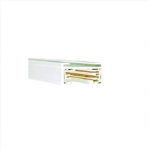 Two Circuit Track Lighting for Juno Series in Black or White Length: 4 Feet, Color: White by WAC Lighting