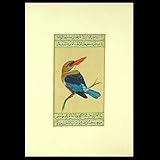 'Kingfisher Twitter'